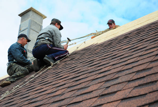 Best Local Roofing Companies  in Old Stine, CA